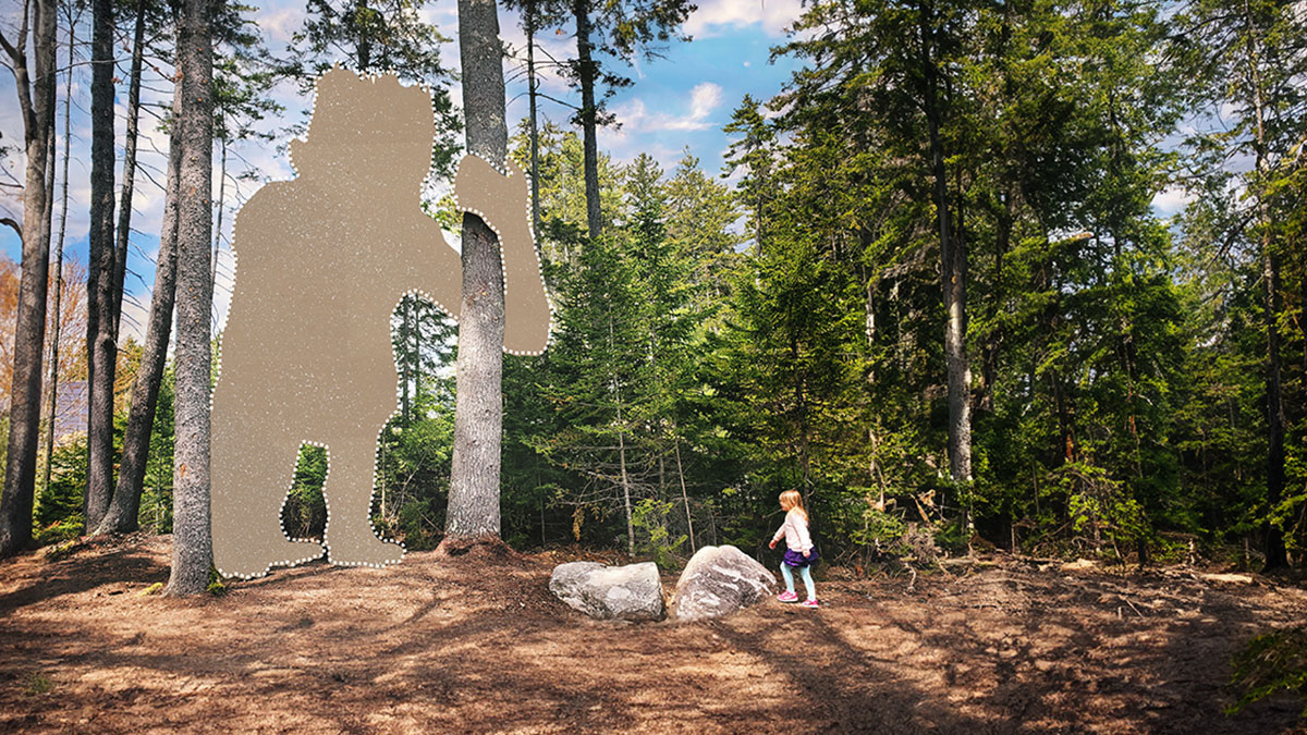 ̀_•́ ) Northwest Trolls: Way of the Bird King